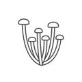 Enokitake mushroom line outline icon