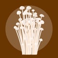 Enokitake mushrooms vector isolated. Organic natural food