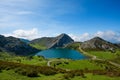 Enol lake in mountains with cows and sheeps on green pasture in national park Picos de Europa Royalty Free Stock Photo