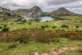 Enol lake in the mountains of the Picos de Europa in Asturias Spain Royalty Free Stock Photo