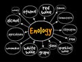 Enology mind map, concept for presentations and reports