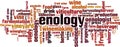 Enology word cloud Royalty Free Stock Photo