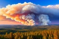 Enormous Cloud of Smoke Engulfs Vast Forest Area, Caused by Intense Wildfire
