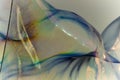 Close up of a giant soap bubble with rainbow colours and iridescence