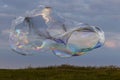 Giant soap bubble with rainbow colours. Grass and sky background during sunset