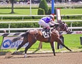 Saratoga Racing Photos- Enquette