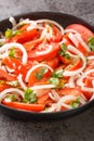 Ensalada chilena is a Chilean salad consisting of tomatoes, onions, olive oil, and coriander closeup in the plate. Vertical