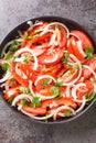 Ensalada chilena is a Chilean salad consisting of tomatoes, onions, olive oil, and coriander closeup in the plate. Vertical top