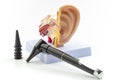 ENT or otolaryngology appointment, deafness prevention and hearing organ health concept with anatomical ear model and medical Royalty Free Stock Photo