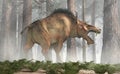 Entelodon in a Forest Royalty Free Stock Photo