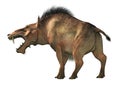 Entelodon Royalty Free Stock Photo