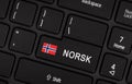 Enter button with flag Norway - Concept of language