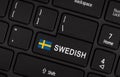 Enter button with flag Sweden - Concept of language