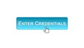 Enter credentials web interface button clicked with mouse, blue color design