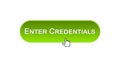Enter credentials web interface button clicked with mouse, green color design