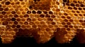 flawless hexagonal pattern of a honeycomb