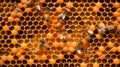 flawless hexagonal pattern of a honeycomb