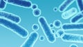 Enterobacteriaceae, gram-negative rod-shaped bacteria