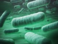 Enterobacteriaceas. Gram-negative bacterias escherichia coli, sa Royalty Free Stock Photo