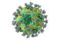 Enterovirus with attached integrin molecules