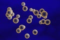 Enterovirus on blue background Royalty Free Stock Photo