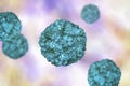 Enteroviruses, a group of RNA-viruses including Echoviruses, Coxsackieviruses, Rhinoviruses and other