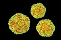 Enteroviruses, a group of RNA-viruses including Echoviruses, Coxsackieviruses, Rhinoviruses and other