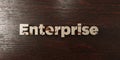 Enterprise - grungy wooden headline on Maple - 3D rendered royalty free stock image