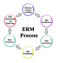 Enterprise Risk management Process
