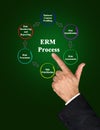 Enterprise Risk management Process