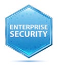 Enterprise Security crystal blue hexagon button