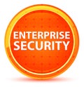 Enterprise Security Natural Orange Round Button Royalty Free Stock Photo