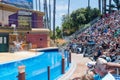 Entertaining visitors at the San Diego Sea World in california