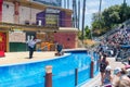 Entertaining visitors at the San Diego Sea World in california