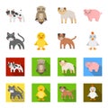 Entertainment, farm, pets and other web icon in cartoon,flat style. Eggs, toy, recreation icons in set collection.