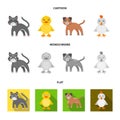 Entertainment, farm, pets and other web icon in cartoon,flat,monochrome style. Eggs, toy, recreation icons in set Royalty Free Stock Photo