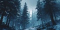 Enthralling Winter Forest Scene A Breathtaking Landscape Royalty Free Stock Photo