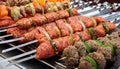 An enticing display of kebabs, from seekh kebabs to chapli kebabs, ready to be grilled.