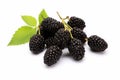 Enticing Fresh black mulberries. Generate Ai