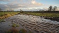 An entire field submerged in deep muddy water as if it were a mere puddle in the path of a powerful storm