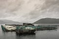 Entire King Salmon farm in Ruakaka Bay, New Zealand.