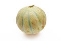 Entire Muskmelon Isolated On A White Background