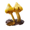 Entoloma murrayi, unicorn Entoloma or pinkgill mushroom closeup digital art illustration. Boletus has yellow bell shaped cap and