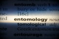 Entomology Royalty Free Stock Photo