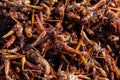 Entomophagy from insect