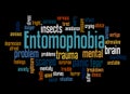 Entomophobia fear of insects word cloud concept 3