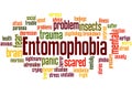 Entomophobia fear of insects word cloud concept 2