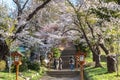 Entrance of Arakurayama Sengen Park Royalty Free Stock Photo