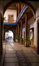 Entrance Arch Courtyard Mexico Royalty Free Stock Photo