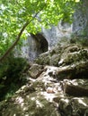 Entrance in Bats Cave in Moeciu, Romania Royalty Free Stock Photo